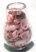 Dollhouse Miniature Shells In Tall Bowl